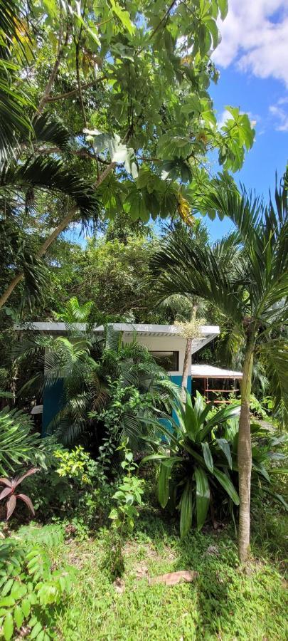 Villa Martina Palmgarden Самара Екстер'єр фото