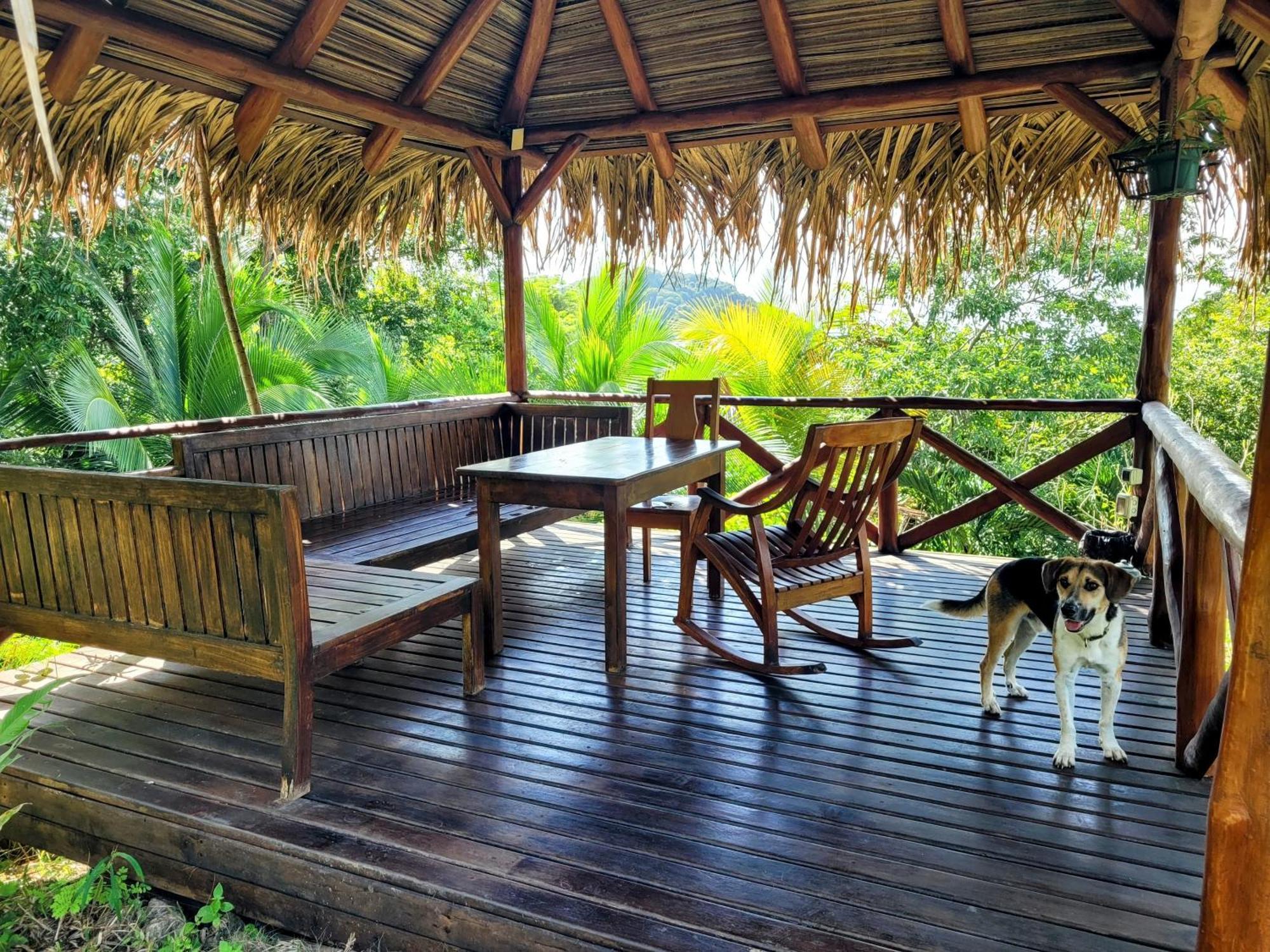 Villa Martina Palmgarden Самара Екстер'єр фото